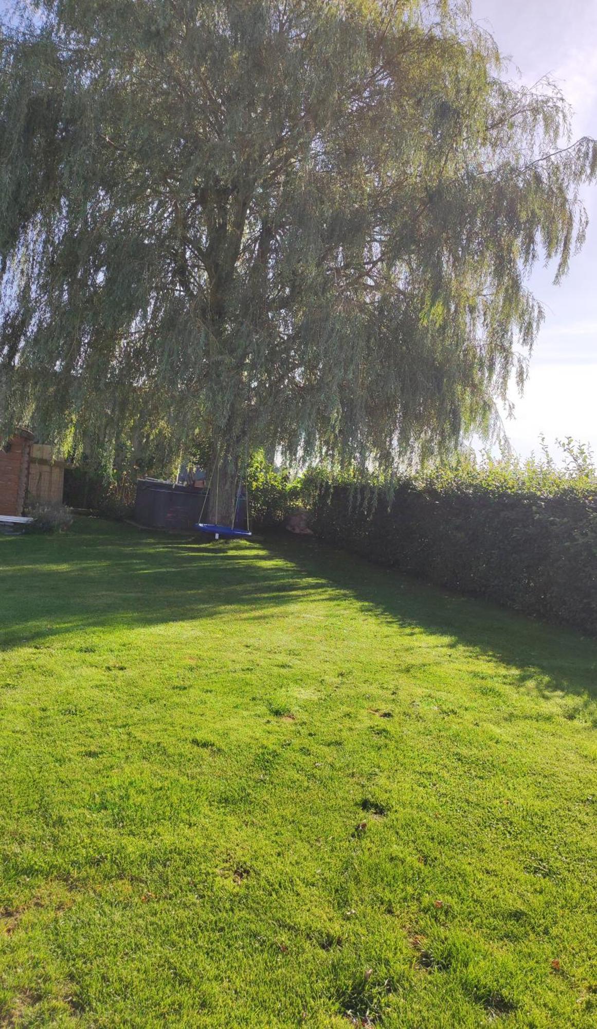 Cote Campagne Bed and Breakfast Houthem Eksteriør billede