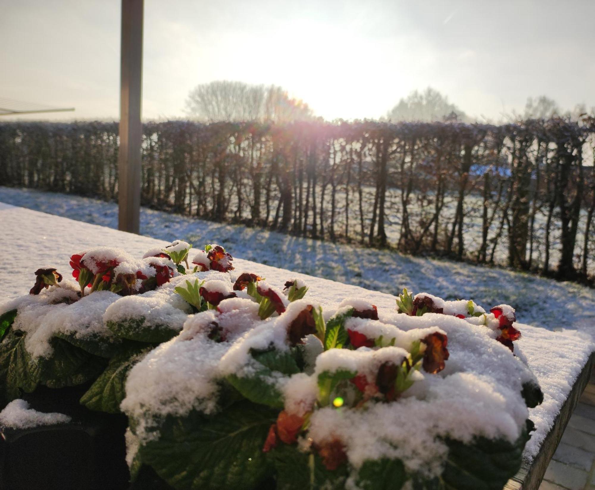 Cote Campagne Bed and Breakfast Houthem Eksteriør billede